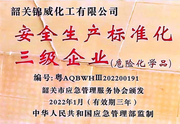 安全標準生產(chǎn)化三級企業(yè)
